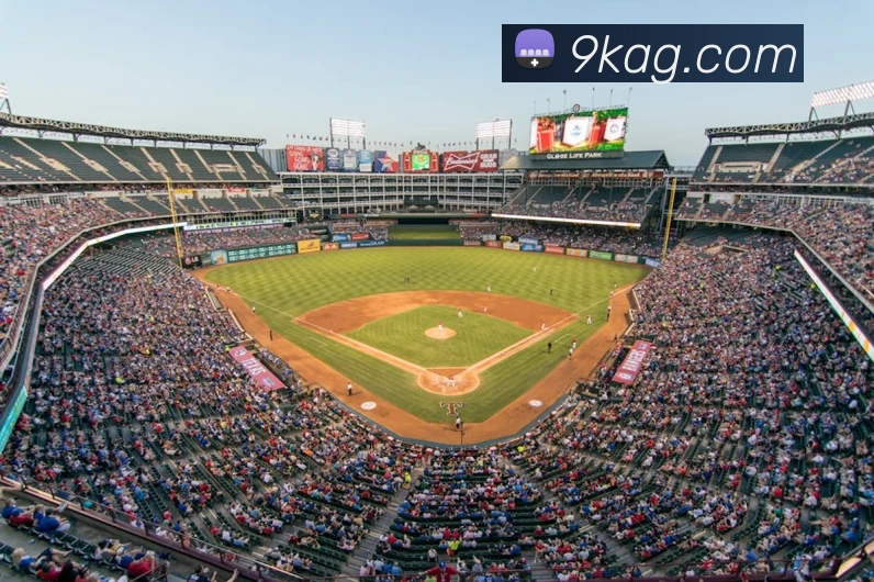 未来规划